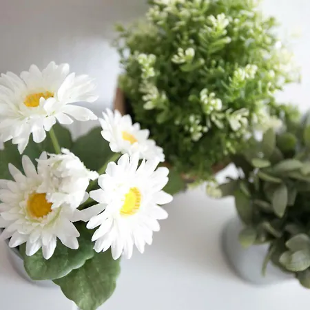 Sea Star Appartement