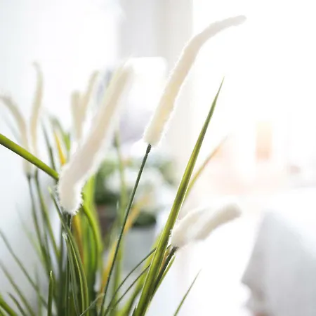 Sea Star Apartamento